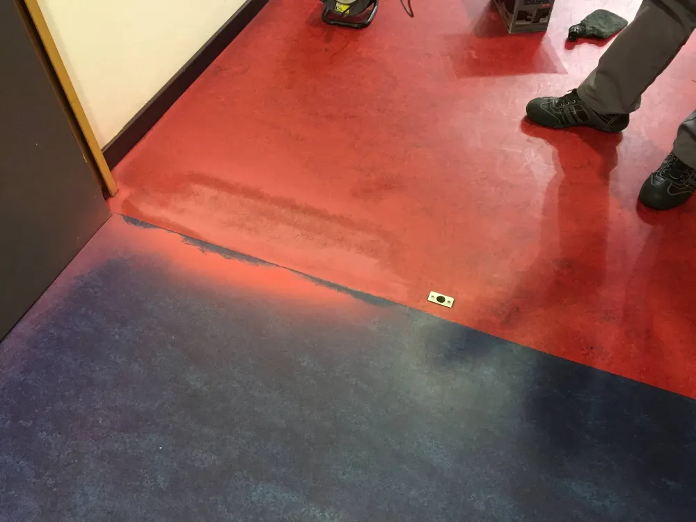 Espace Terminus de Truchtersheim (1)