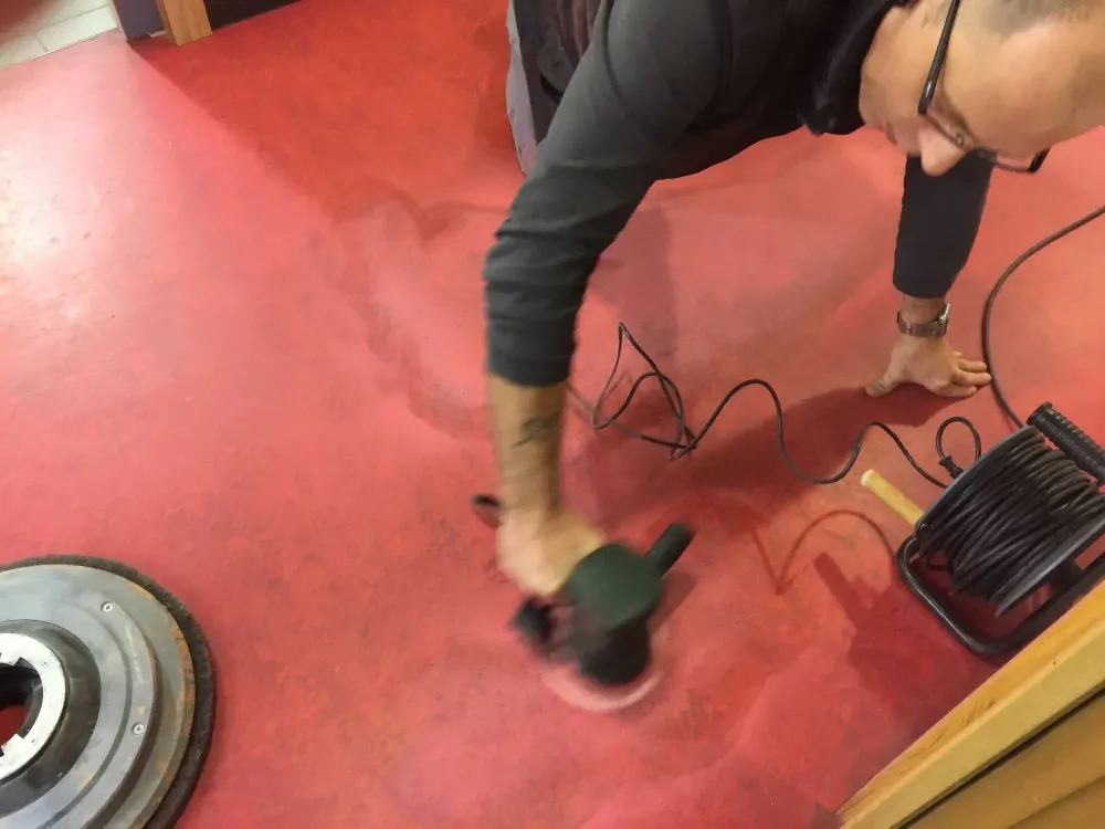 Espace Terminus de Truchtersheim (2)