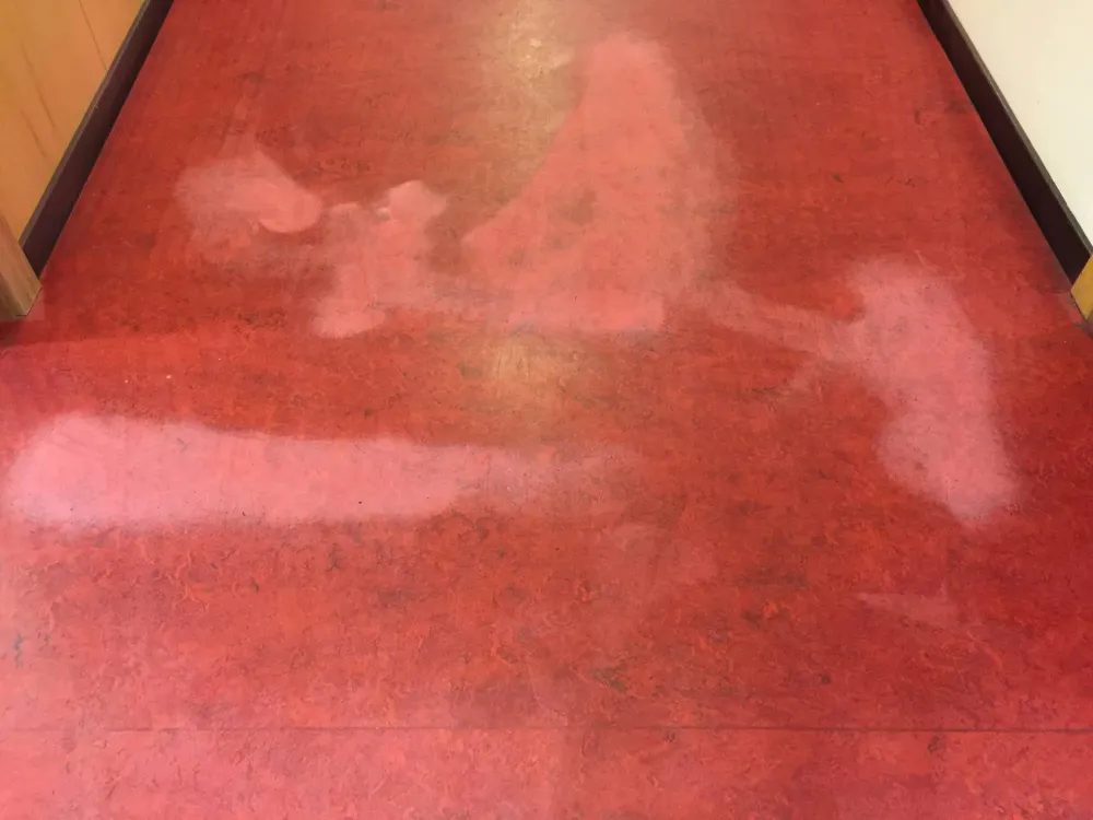 Espace Terminus de Truchtersheim (3)