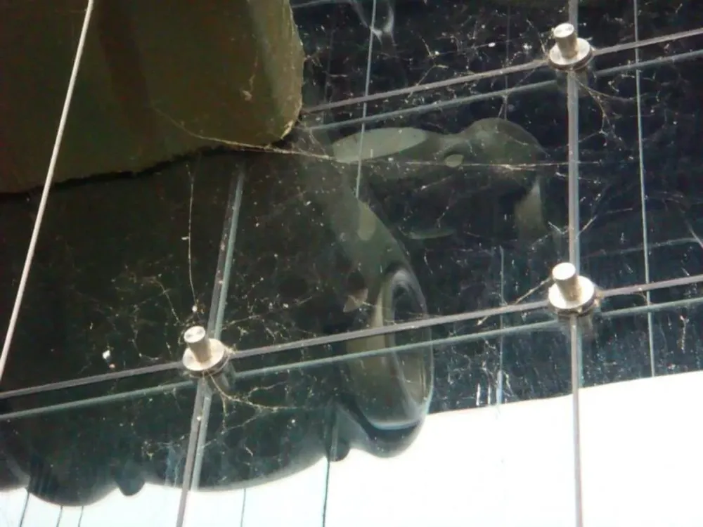 Nettoyage eau pure (4)